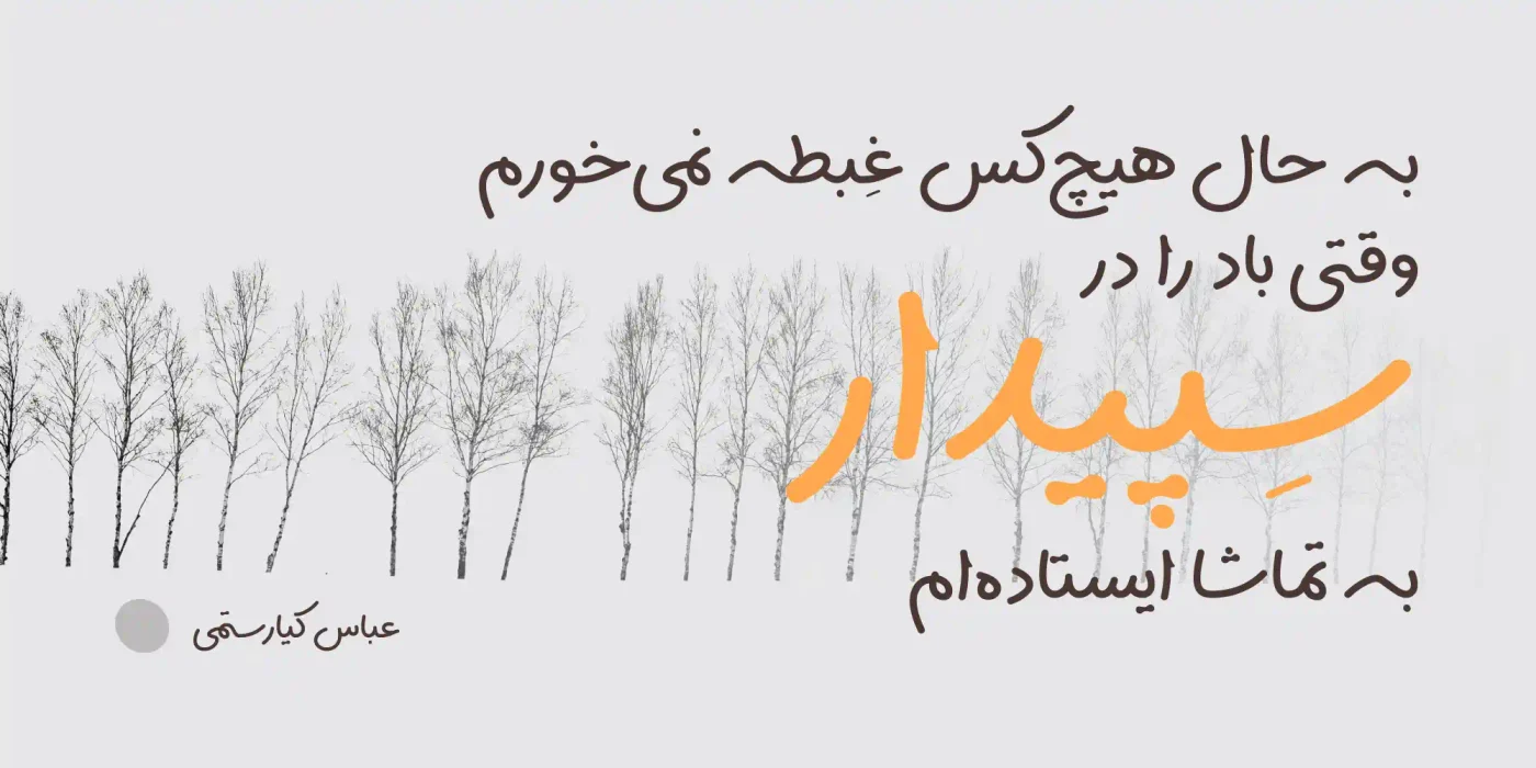 سپیدار