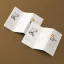 طرح موکاپ بروشور