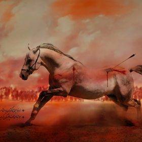 تصویر اسب امام حسین