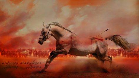تصویر اسب امام حسین – تصویر باکیفیت اسب ویژه محرم