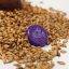 موکاپ درب بطری